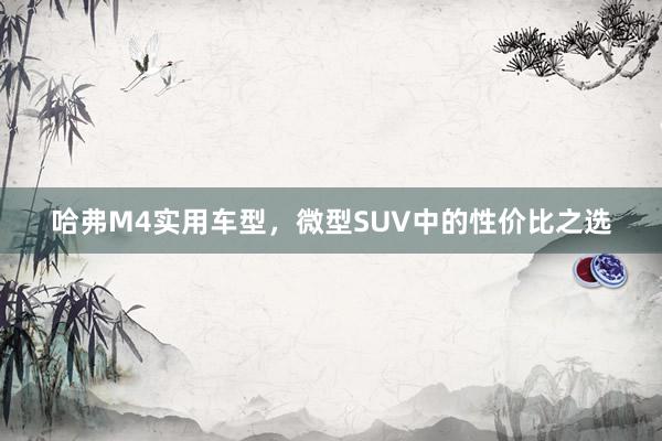 哈弗M4实用车型，微型SUV中的性价比之选